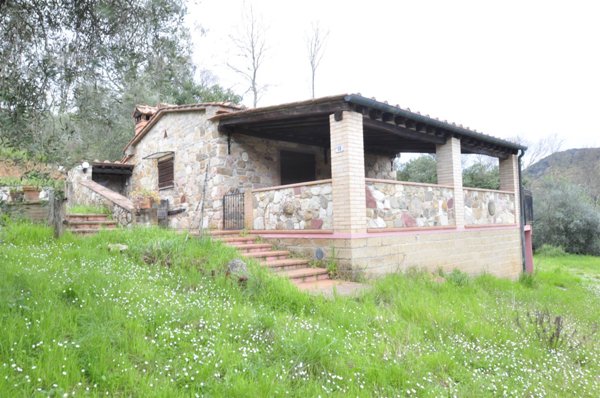 terreno agricolo in vendita a Sassetta