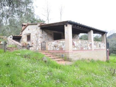 terreno agricolo in vendita a Sassetta