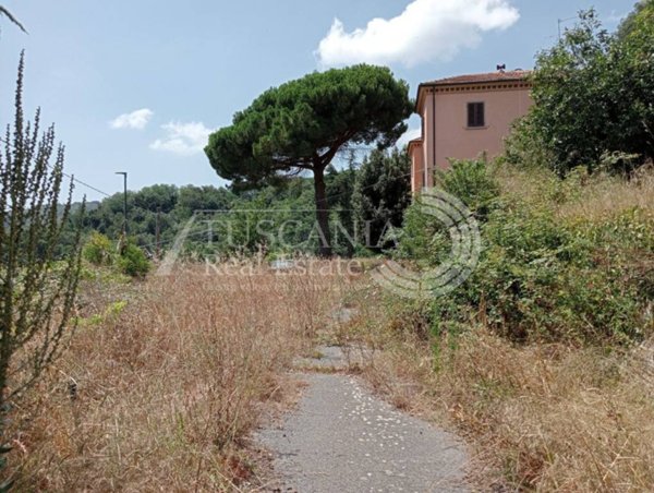 ufficio in vendita a Sassetta
