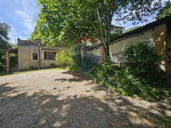 appartamento in vendita a Sassetta