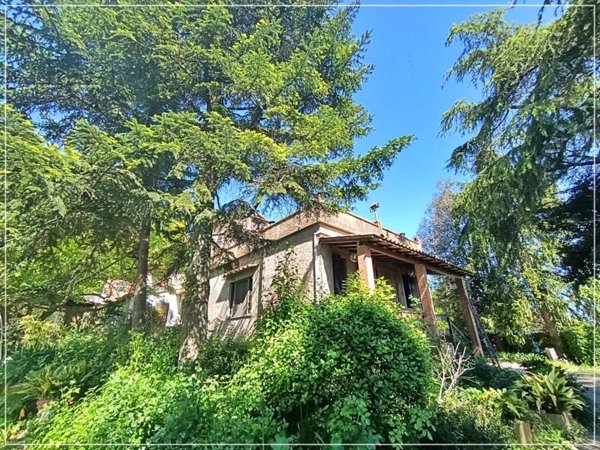 casa indipendente in vendita a Sassetta