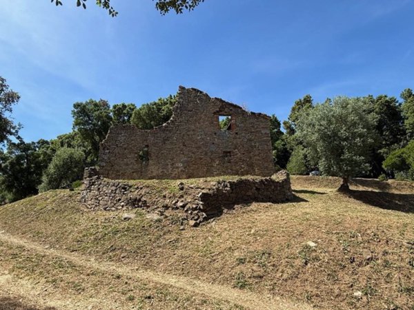 casa indipendente in vendita a Sassetta