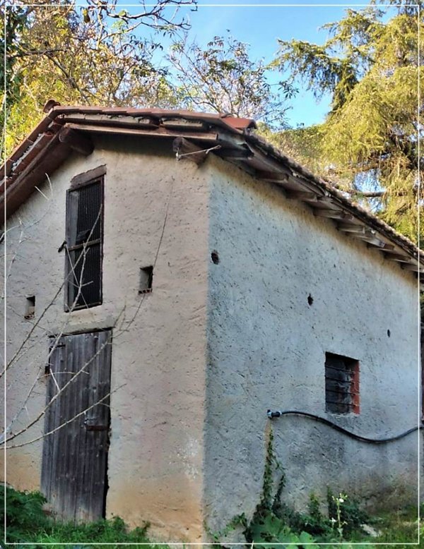 terreno agricolo in vendita a Sassetta