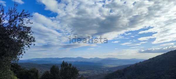 appartamento in vendita a Sassetta