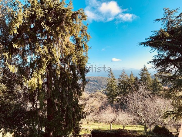 casa semindipendente in vendita a Sassetta