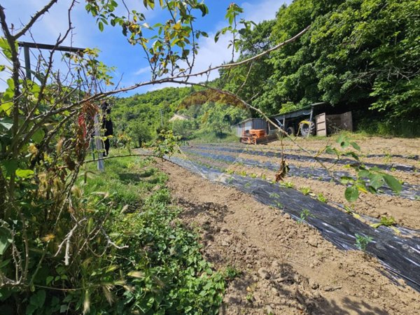 appartamento in vendita a Sassetta