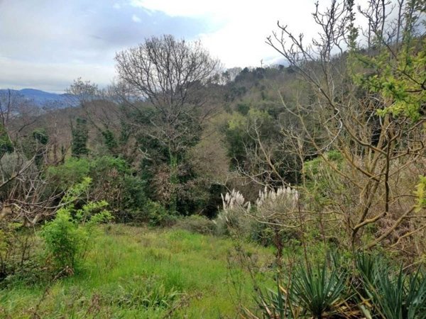 monolocale in vendita a Sassetta