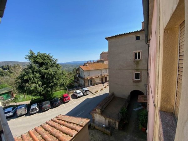 appartamento in vendita a Sassetta