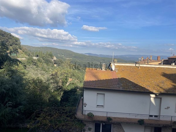 appartamento in vendita a Sassetta