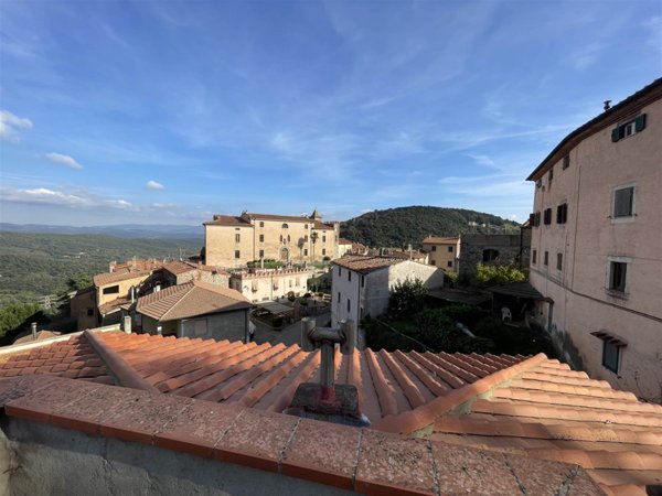 appartamento in vendita a Sassetta