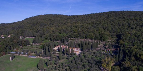 terreno agricolo in vendita a Sassetta
