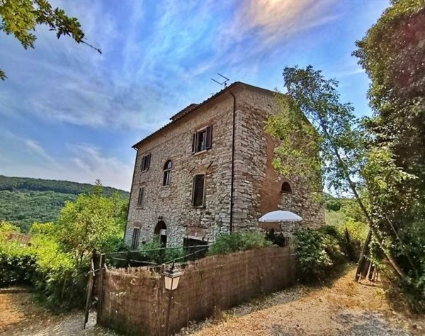 appartamento in vendita a Sassetta