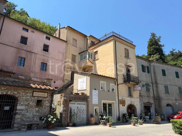 appartamento in vendita a Sassetta