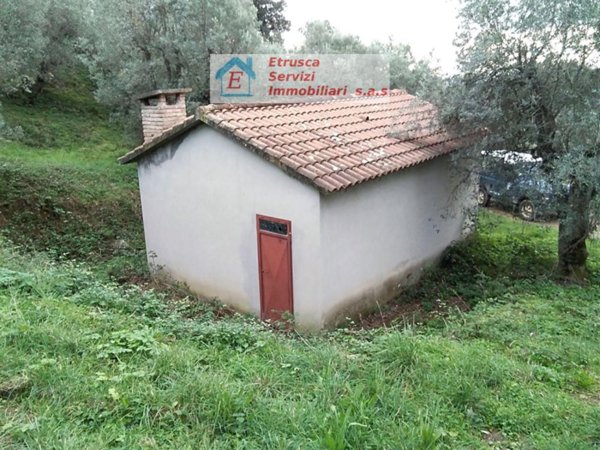 terreno agricolo in vendita a Suvereto