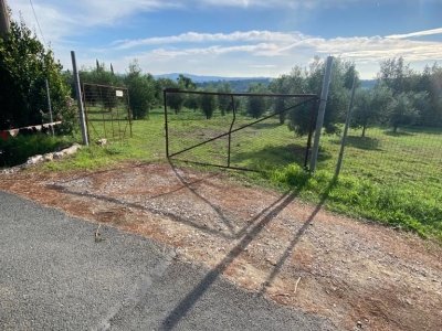 terreno agricolo in vendita a Suvereto