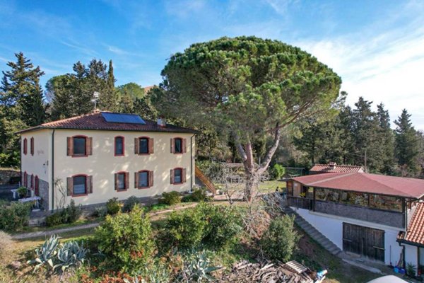 casa indipendente in vendita a Suvereto