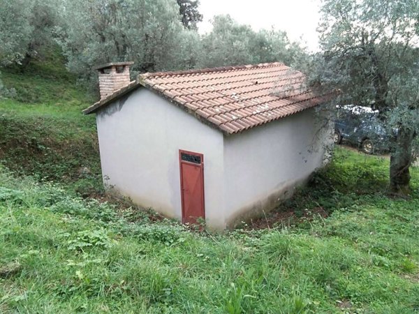 terreno agricolo in vendita a Suvereto