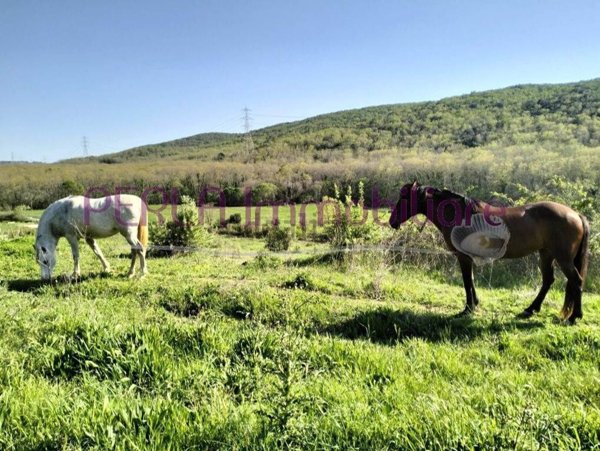casale in vendita a Suvereto in zona Montioni