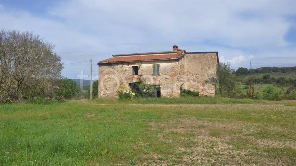 capannone in vendita a Suvereto