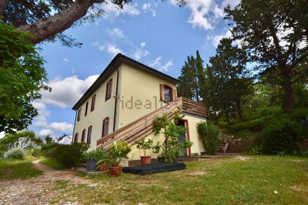 terreno edificabile in vendita a Suvereto