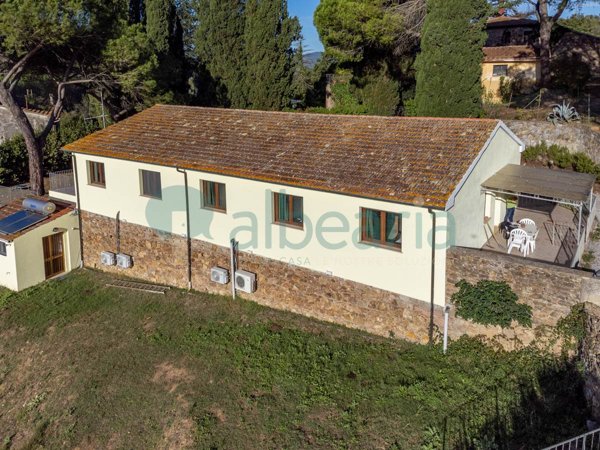 azienda agricola in vendita a Suvereto
