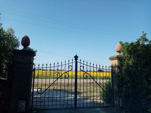 casa indipendente in vendita a Suvereto