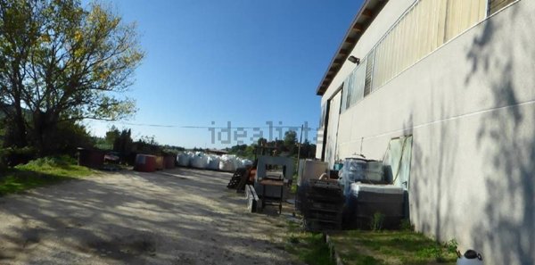 capannone in vendita a Suvereto