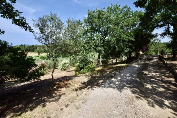 appartamento in vendita a Suvereto