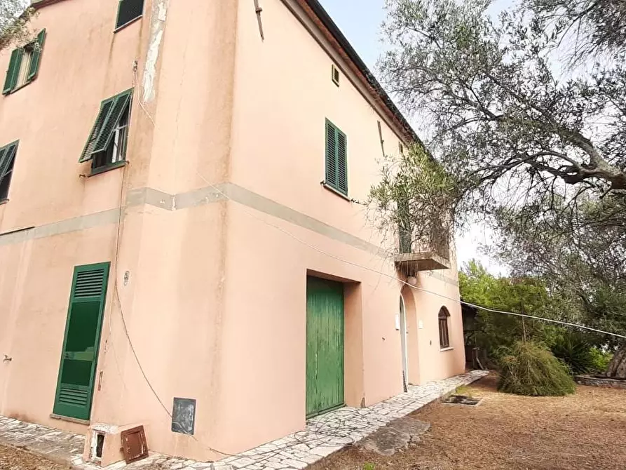 appartamento in vendita a Suvereto