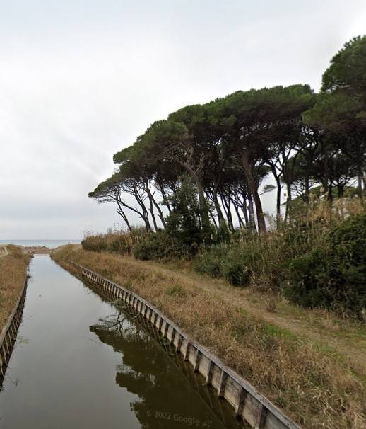 immagine annuncio 0 di 5