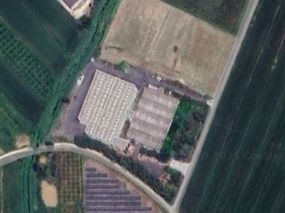 negozio in vendita a Suvereto