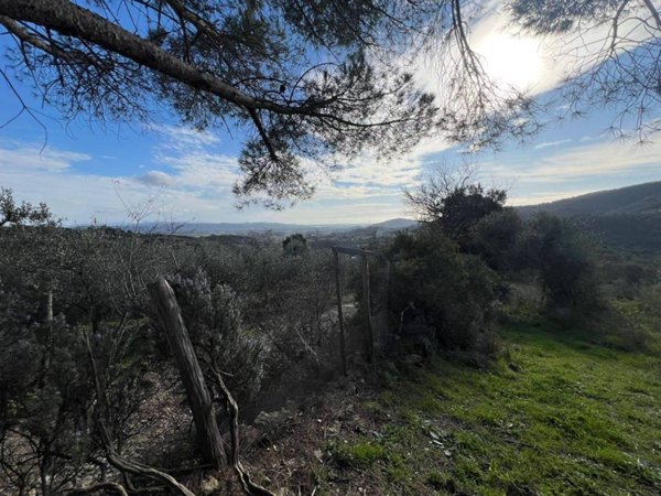 casa indipendente in vendita a Suvereto