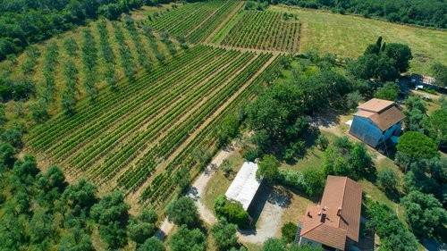casa indipendente in vendita a Suvereto