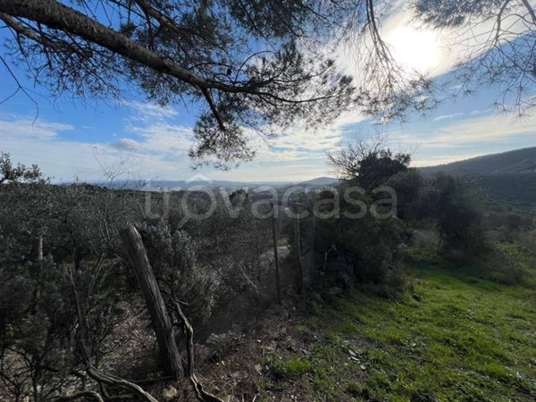 casa indipendente in vendita a Suvereto