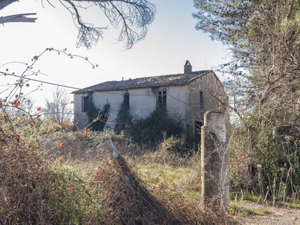locale di sgombero in vendita a Suvereto