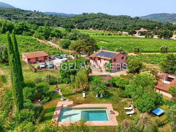 azienda agricola in vendita a Suvereto