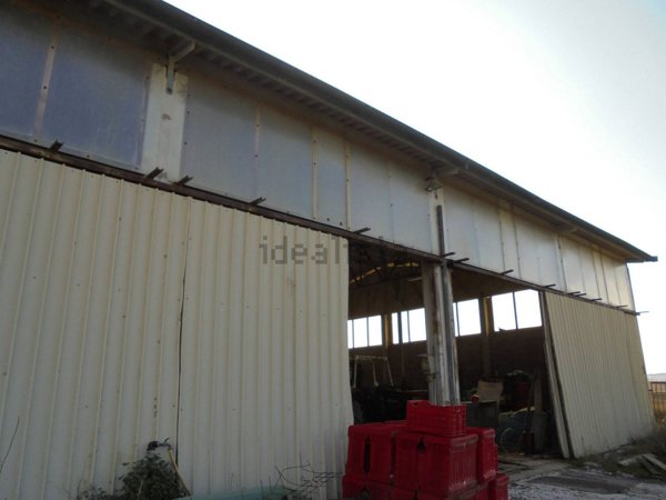 terreno agricolo in vendita a Suvereto