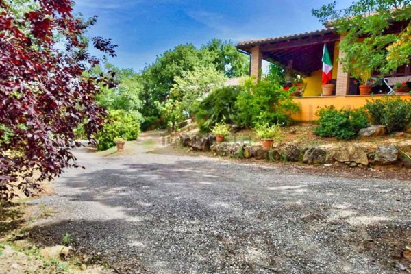 appartamento in vendita a Suvereto