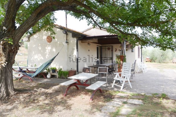 appartamento in vendita a Suvereto