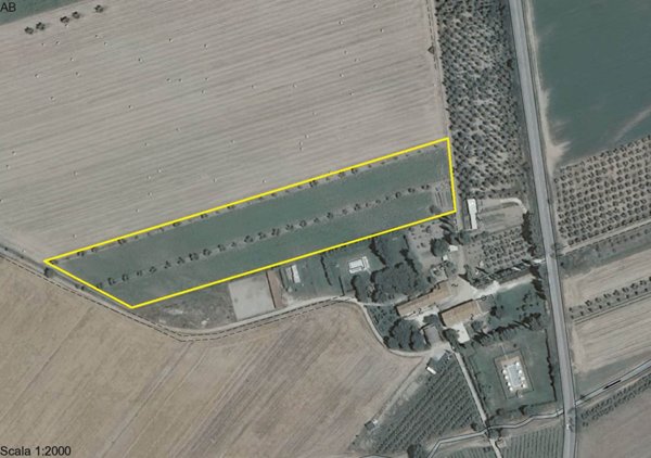 terreno agricolo in vendita a Suvereto