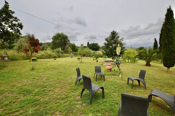 terreno agricolo in vendita a Suvereto