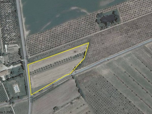 terreno agricolo in vendita a Suvereto in zona San Lorenzo