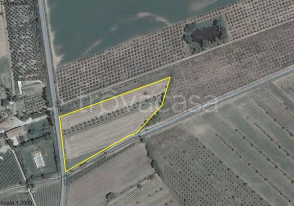 terreno agricolo in vendita a Suvereto in zona San Lorenzo