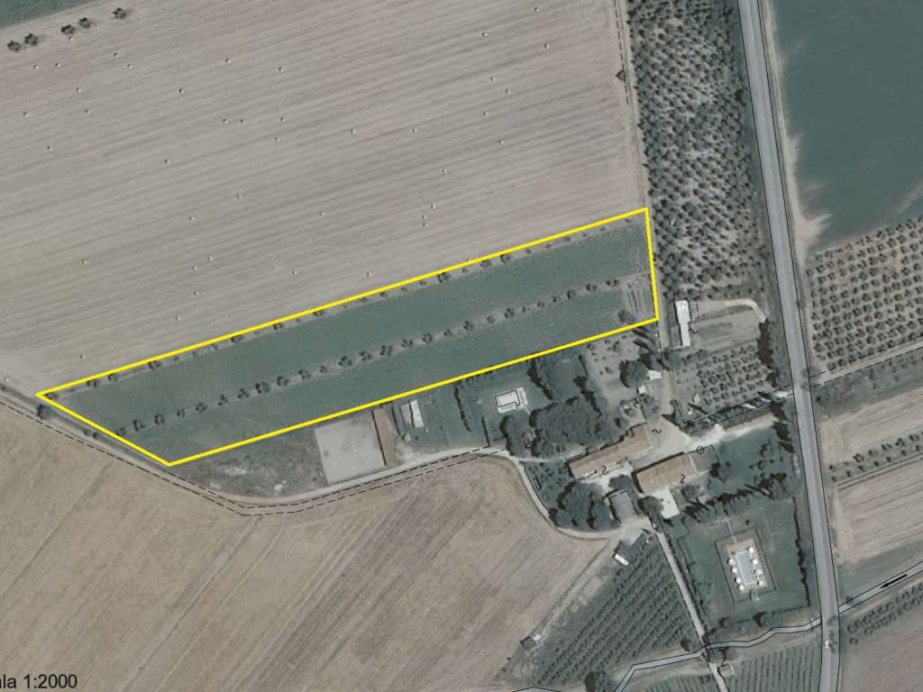 terreno agricolo in vendita a Suvereto