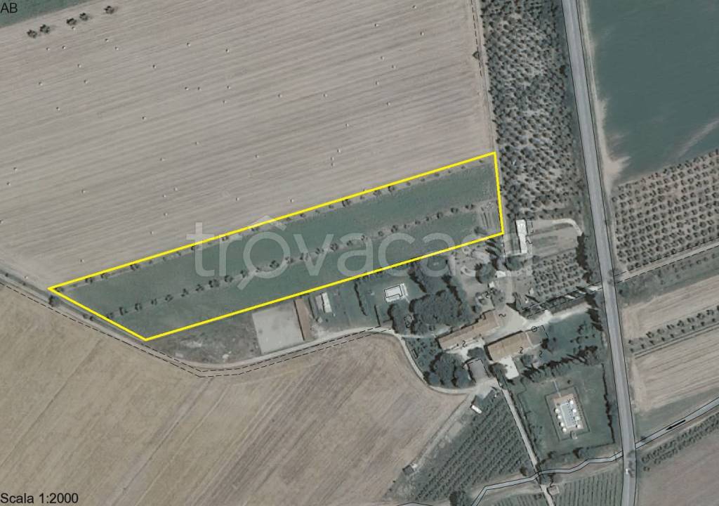 terreno agricolo in vendita a Suvereto