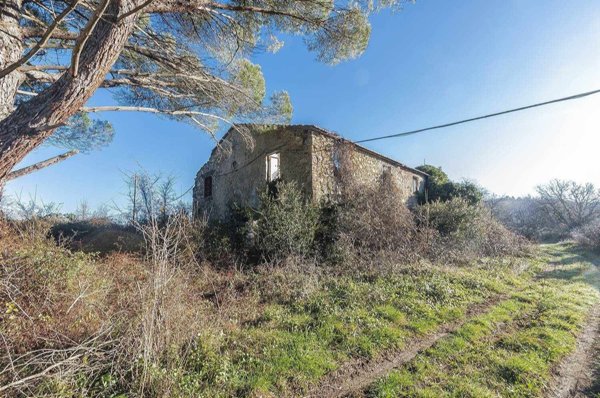 locale di sgombero in vendita a Suvereto