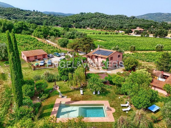 casa indipendente in vendita a Suvereto