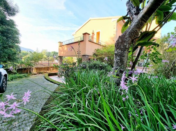 casa indipendente in vendita a Suvereto