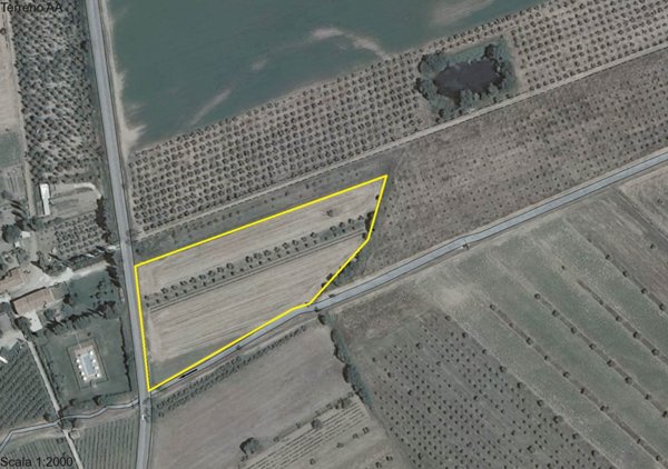 terreno agricolo in vendita a Suvereto in zona San Lorenzo