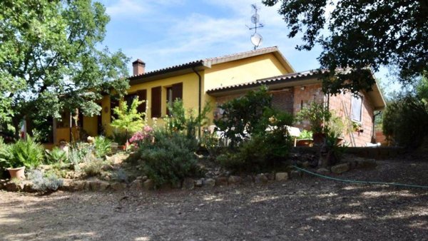 appartamento in vendita a Suvereto